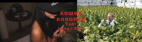 молекула духа Иннополис