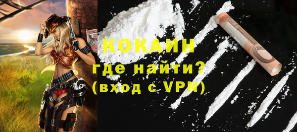 винт Инта