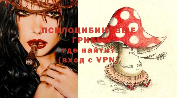 винт Инта