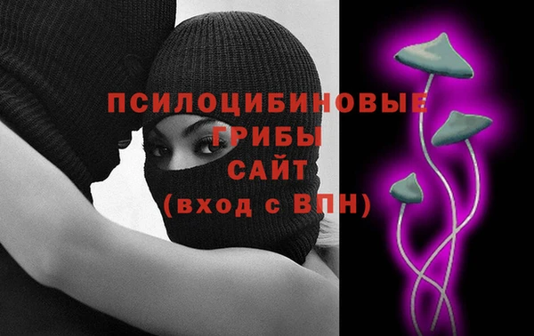 молекула духа Иннополис