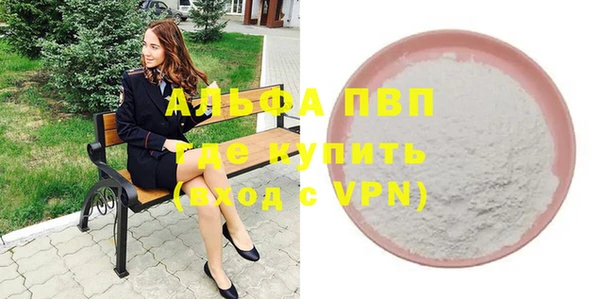 дурь Инсар