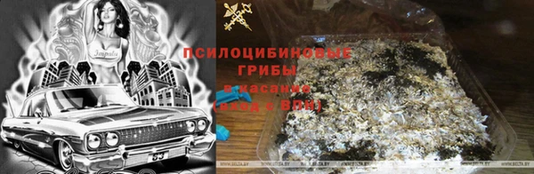 винт Инта