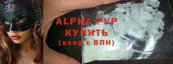 винт Инта