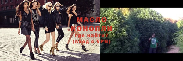 винт Инта