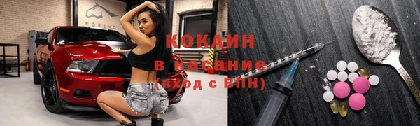 винт Инта