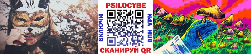 мега маркетплейс  где продают наркотики  Лодейное Поле  Галлюциногенные грибы Psilocybine cubensis 